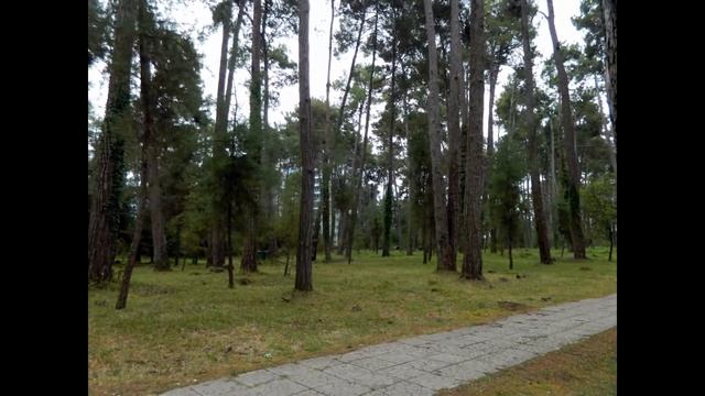 Территория пансионата Пицунда.Абхазия. смотреть онлайн