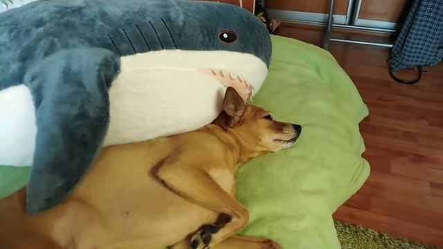 УКРАШЕНИЕ И УБОРКА МОЕГО РАБОЧЕГО СТОЛА К НОВОМУ ГОДУ// decorate and clean with me✨ смотреть онлайн