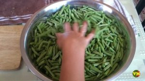 Стручковая фасоль: сбор, обработка и заморозка +рецепт!