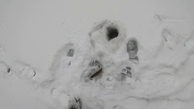 Удачный день для ловли хариуса в глухозимье. смотреть онлайн