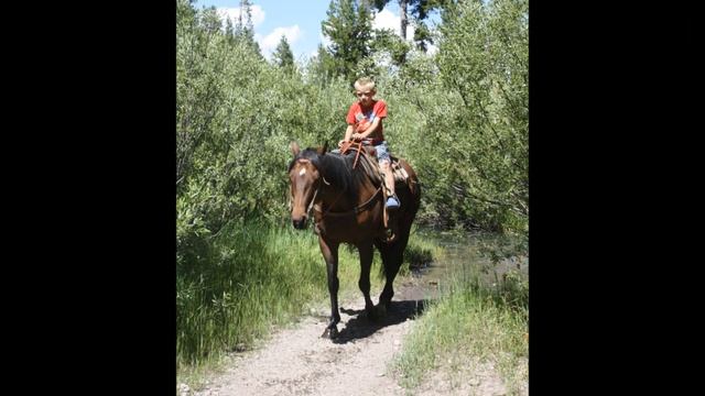 Horseback Riding in Yellowstone Country with Yellowstone Horses Outfitters смотреть онлайн