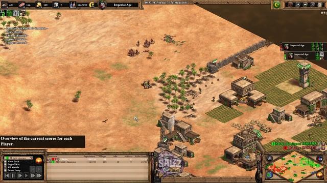 Как не надо принимать бои [Age of Empires 2] смотреть онлайн