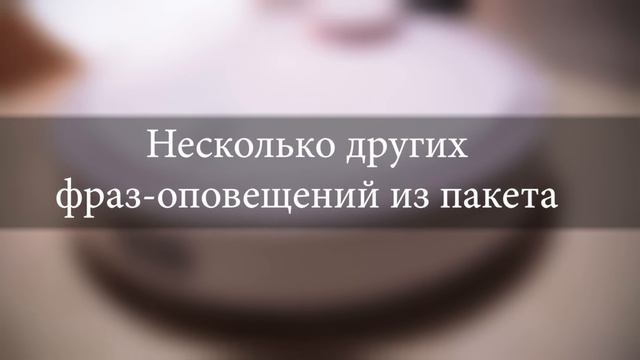 Xiaomi Mi Robot Vacuum Cleaner Cтавим голосовые пакеты с русской озвучкой