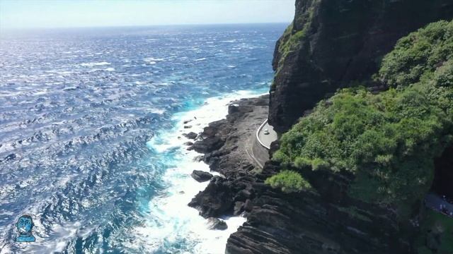 11:44 Qual seu Significado? Números, Horas Iguais e a Mensagem dos Anjos смотреть онлайн