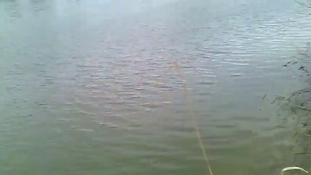 Ессентуки Клевое место_3 смотреть онлайн