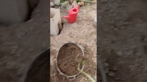 первая стадия затворения пескобетона м300