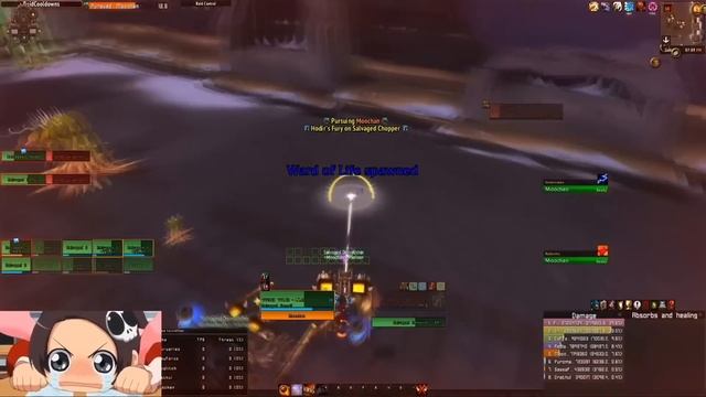 ЭТИ КЛАССЫ ДАМАЖАТ В WOTLK!