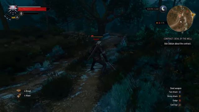 Let's Play The Witcher 3 #3 - Lost brother and a ghost story смотреть онлайн