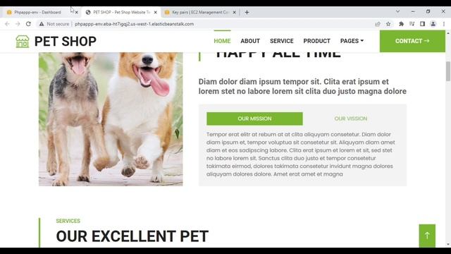 Deploy a PHP website on Elastic beanstalk and route it on Route 53 смотреть онлайн