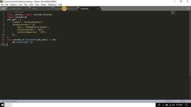 PYTHON - Youtube Downloader & Converter To Mp3 [ Play With Python ] смотреть онлайн
