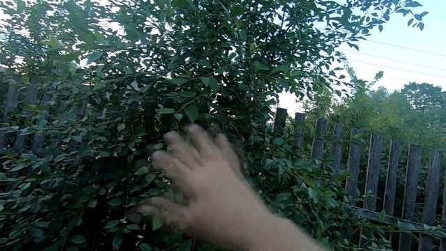 А дни уходят... смотреть онлайн