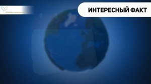 Упражнения для восстановления зрения: как забыть про очки раз и навсегда
