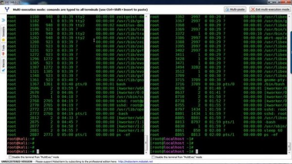 How to Run the Same Command on Multiple Unix Linux Terminals