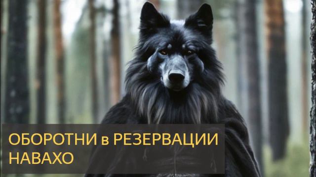 На ночь глядя №63 - Оборотни в резервации Навахо смотреть онлайн