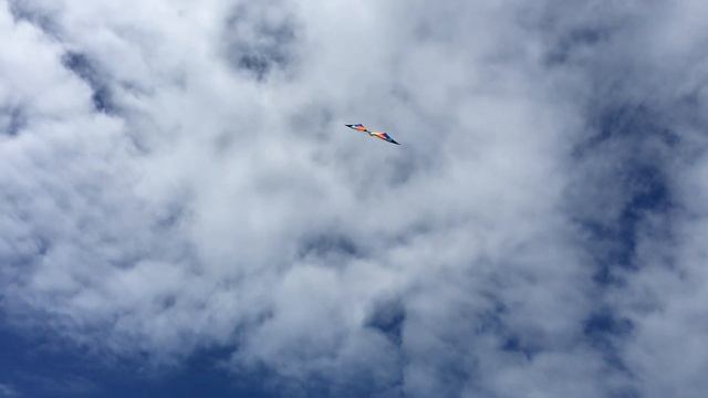 Запуск управляемого воздушного змея на пристани смотреть онлайн