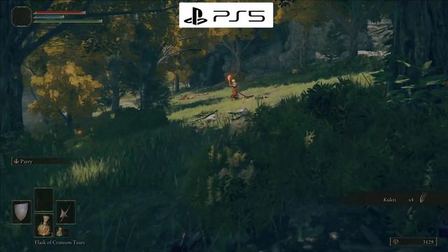 Elden Ring | PS5 vs PS4 Pro | GRAPHICS COMPARISON | Detail Graphics Analysis смотреть онлайн