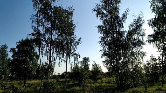 21июня-Федоров день.Что нельзя делать в праздник.Народные приметы смотреть онлайн