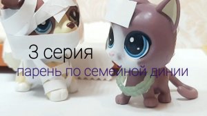 Lps сериал ( парень по семейной  линии ) серия 3