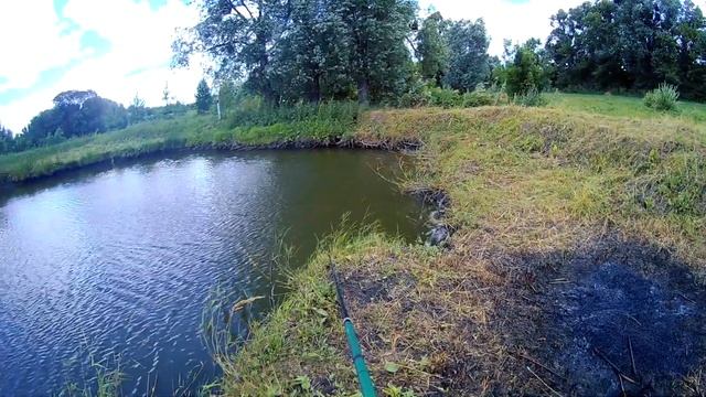 МОЙ ПРУД ЧЕРЕЗ 8 ЛЕТ! ПРУД СПУСТЯ 8 ЛЕТ! Ловлю КАРАСЯ, Кормлю РЫБУ!!! смотреть онлайн