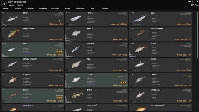 Fisher Online / трофейный берш, Россия: р. Дон смотреть онлайн