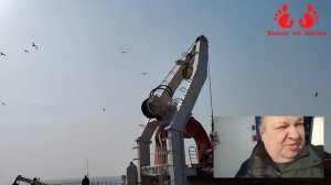 Паром и наглые чайки // Наше путешествие Циндао-Янтай-Далянь // Часть 1