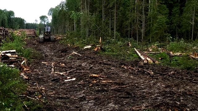 Гусеницы LOGGER серии LGP