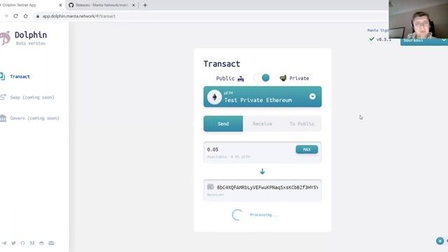 Manta Network Dolphin App тестнет гид смотреть онлайн