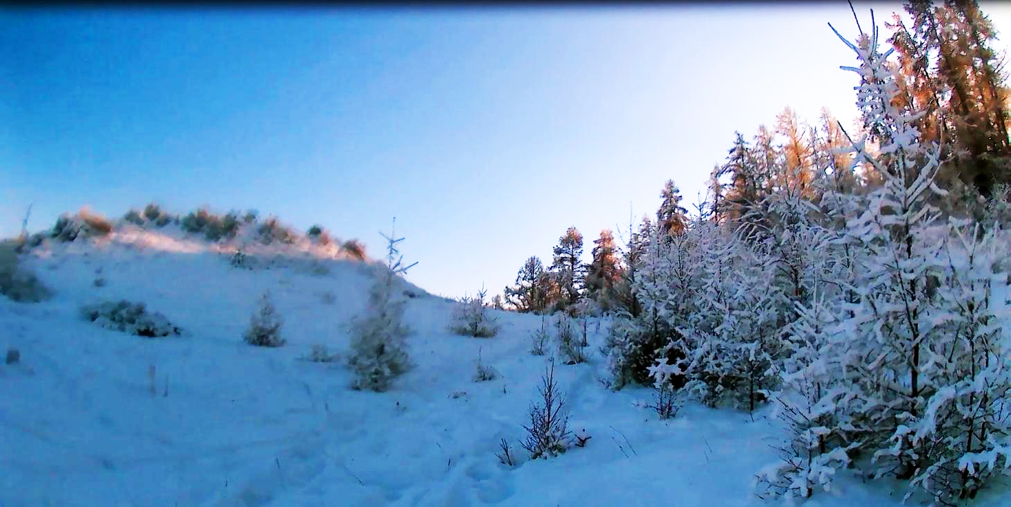 Поход по зимнему лесу смотреть онлайн