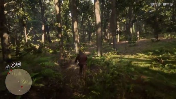 Red Dead Redemption 2 Florida panther perfect pelt