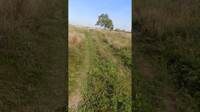 учимся искать предмет смотреть онлайн