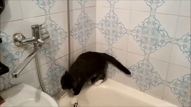 Кассандра и капелька смотреть онлайн