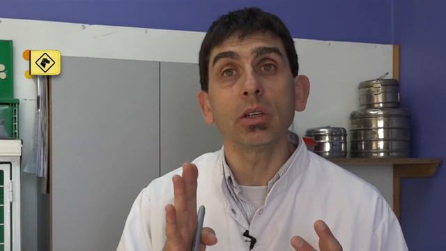 “Perros en acción” Programa Nº 398 Bloque 2 смотреть онлайн