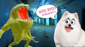 СТРАШНЫЙ ДЕТСКИЙ САДИК! БАН БАН в Реальной жизни! Jumbo Josh НАПАЛ на КОШЕК!!!