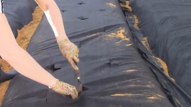 посадка клубники на агроволокно смотреть онлайн