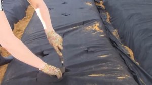 посадка клубники на агроволокно