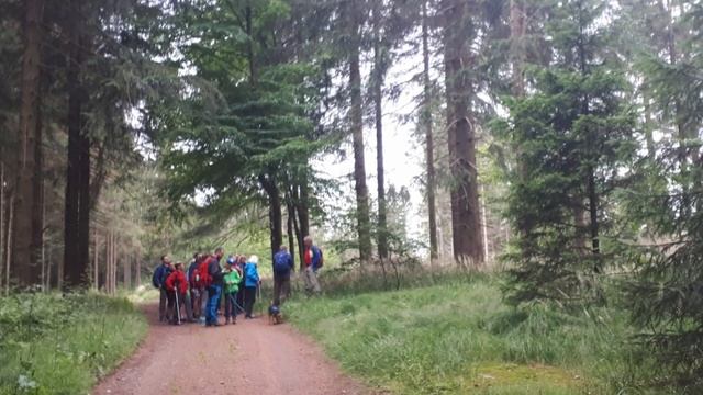 Lerndorf Trusetal: Schülerakademie 2022 смотреть онлайн