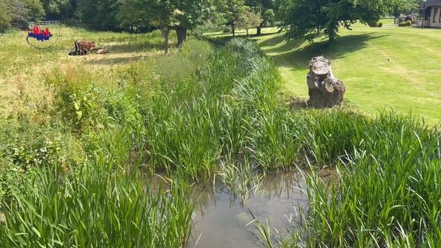 1013 По местам Робин Гуда, часть 2 смотреть онлайн