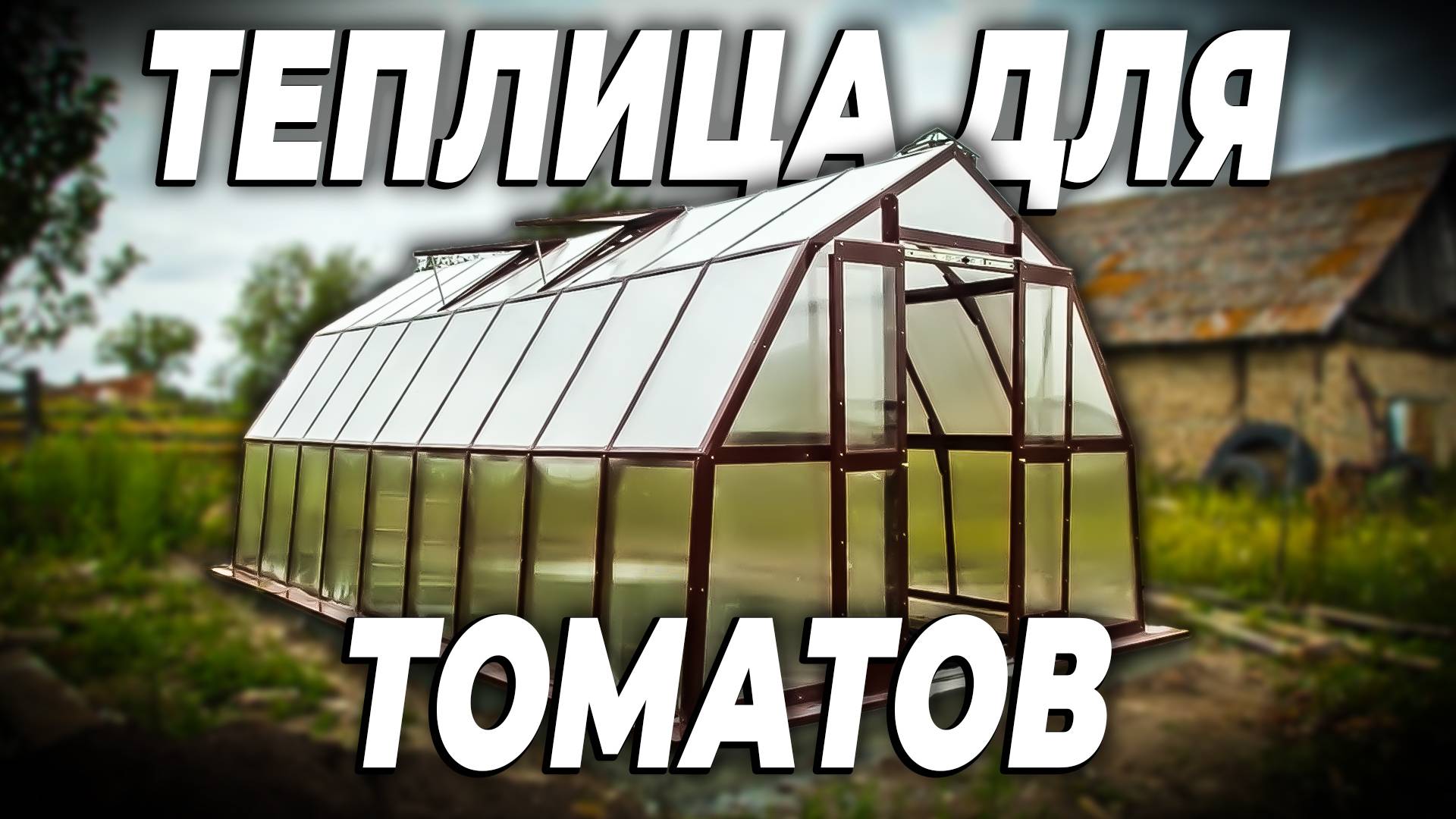 Вырастили 80 кустов томатов в одной теплице смотреть онлайн