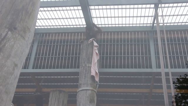 Оле метатель смотреть онлайн