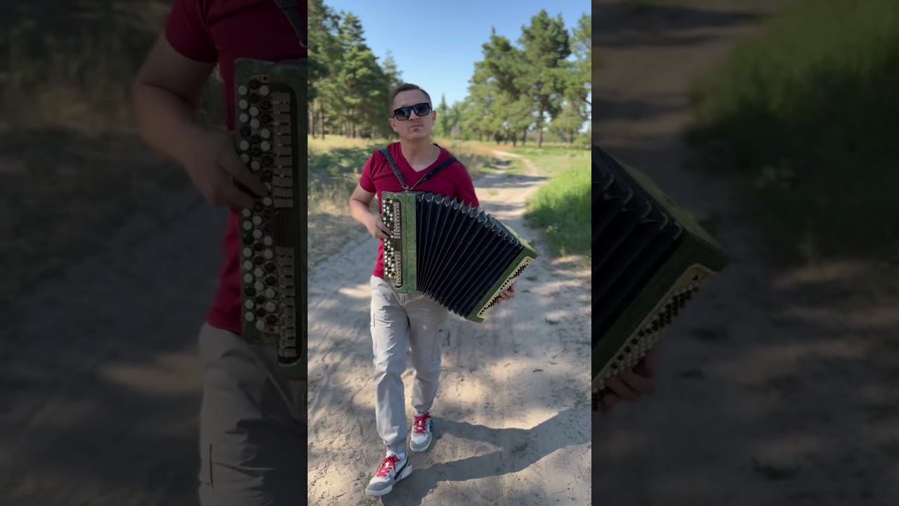 Эту песню полюбила вся Россия #баянист #гармонист смотреть онлайн