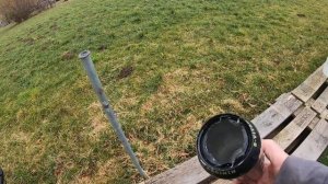 Землеройка кроты как от них избавиться?