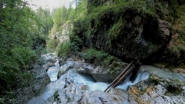 Ніжна музика для сну, спів птахів, звуки лісу і піаніно заспокоює, розслабляє, релаксує і відновлює смотреть онлайн