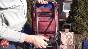 Как выбрать Сумка тележка Консультация профессионала