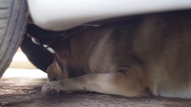 Olympus omd em10 III video test смотреть онлайн