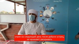 ?? ОАЭ. Ферма Жемчуга. Как добывают жемчуг. Рас-ель-Хайма