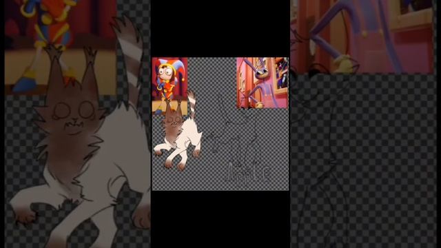 немного удивительного цц :)) #котывоители #удивительныйцифровойцирк