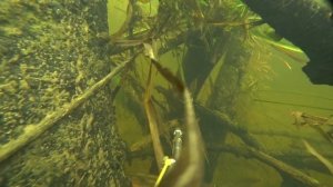 Подводная охота на малых реках.