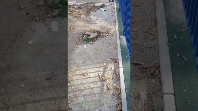 О.поля 44а. Детская площадка смотреть онлайн