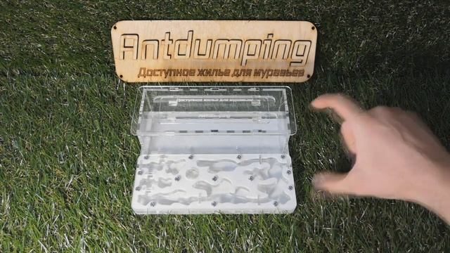 Фелуга V2 (Формикарий за 1500р) Обзор,формикария и заселение муравьев