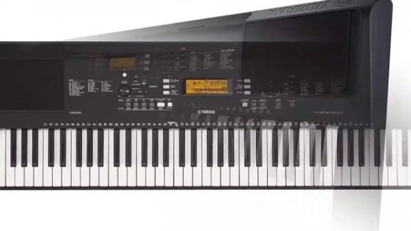 Best Portable Keyboard Piano 2021 | Artesia A-61 | Yamaha | Roland | Piano Keyboard